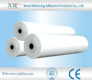 Filem Pelindung Hood